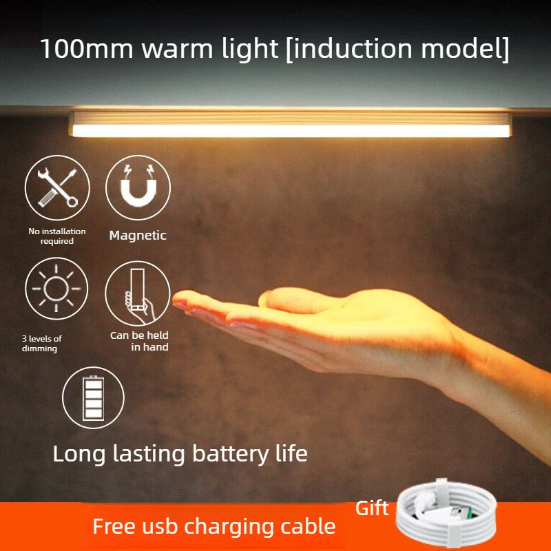 Magnetic Wireless Ceiling Light